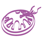 Les fondamentaux de la Musique