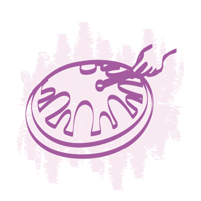 Les fondamentaux de la Musique